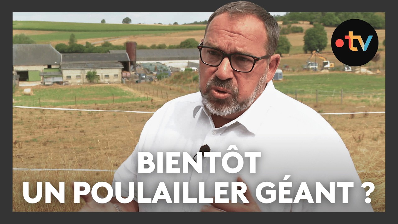 39.999 volailles pour 6.000 habitants, un projet de poulailler géant divise la population