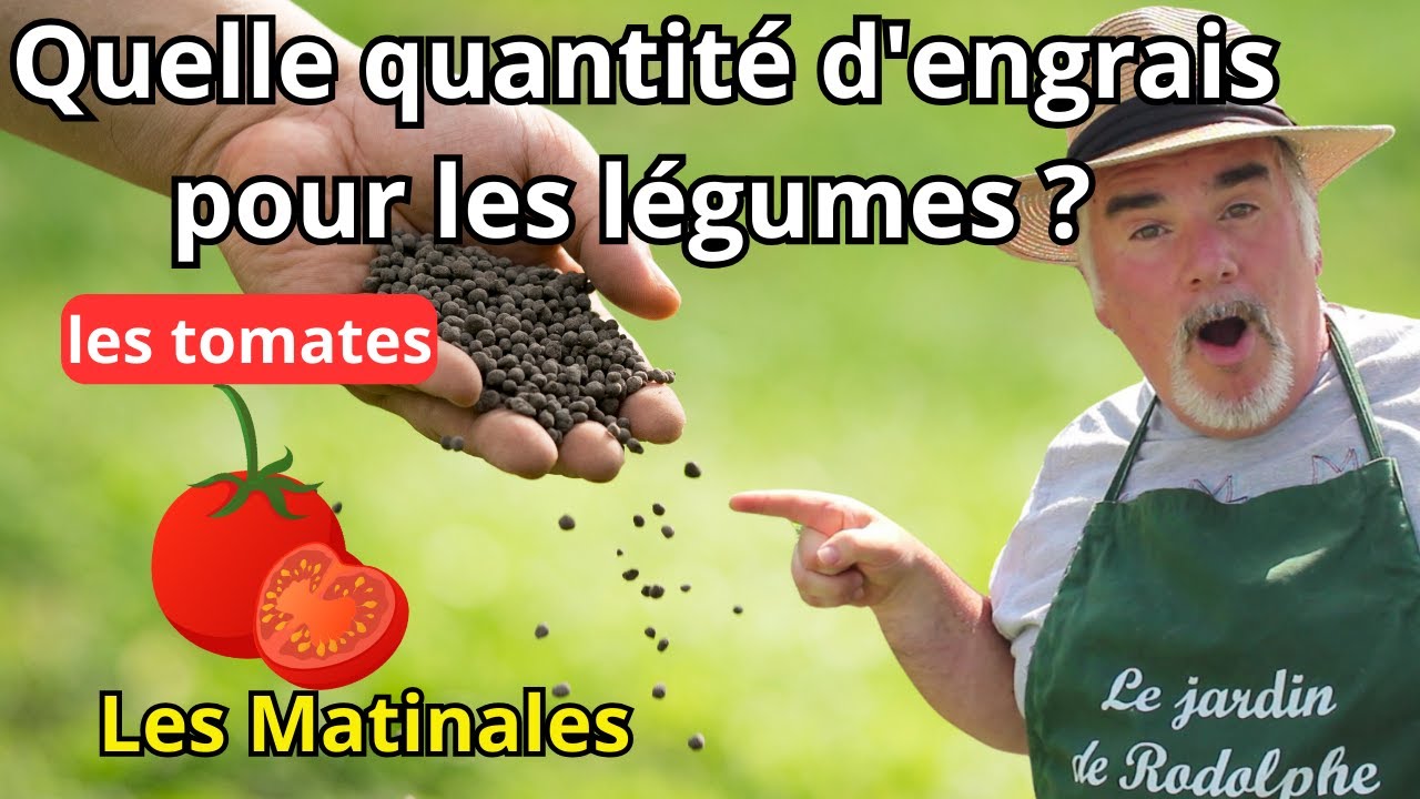Gestion de l'Engrais Naturel pour les Tomates
