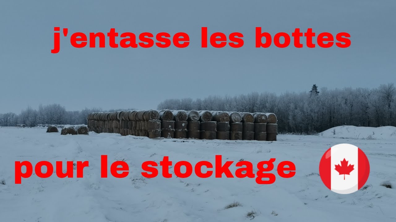 nous entassons les bottes de foins//comment est-ce que j'ai trouvé du travaille au Canada.