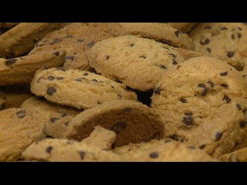 La biscuiterie du Cotentin, une affaire de famille - Météo à la carte