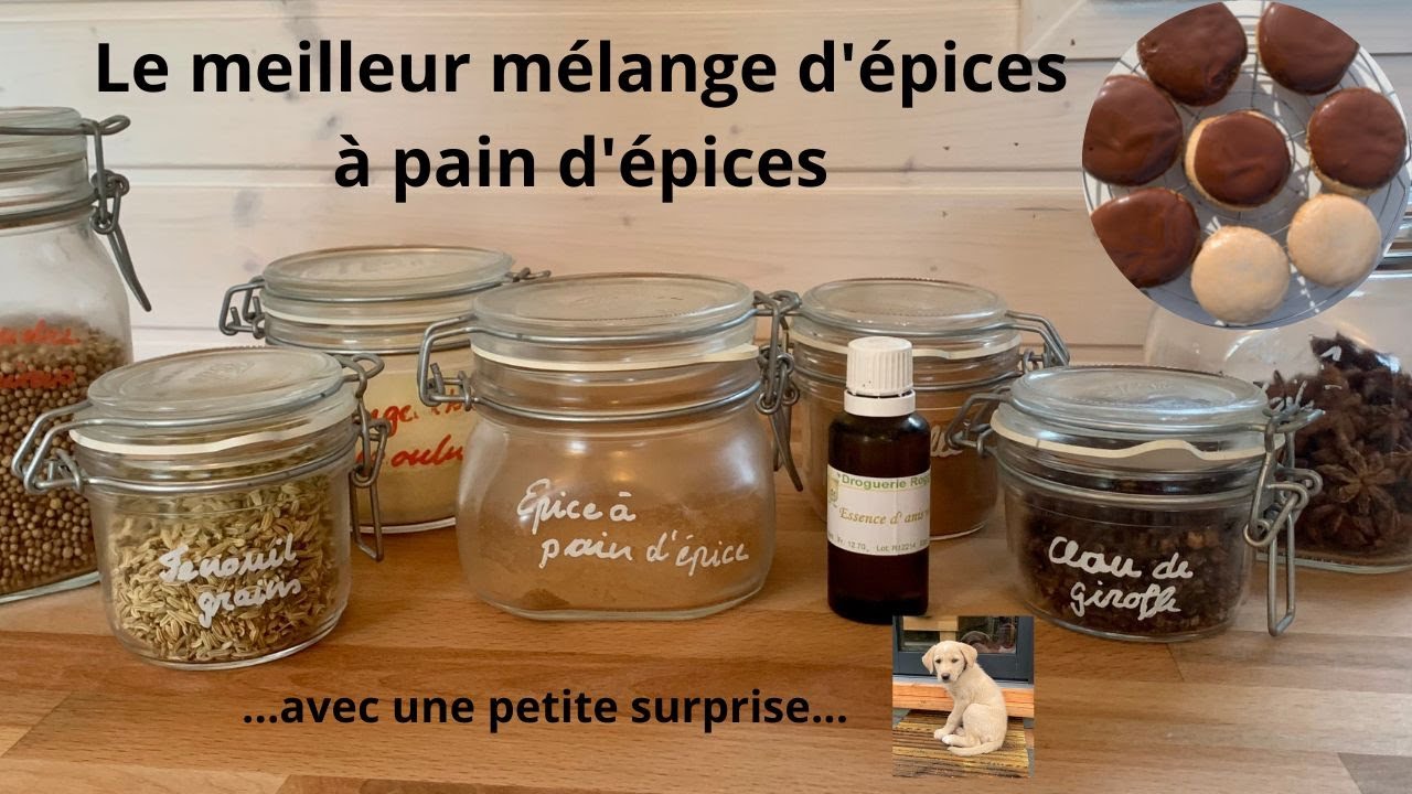 Le meilleur mélange d'épices à pain d'épices