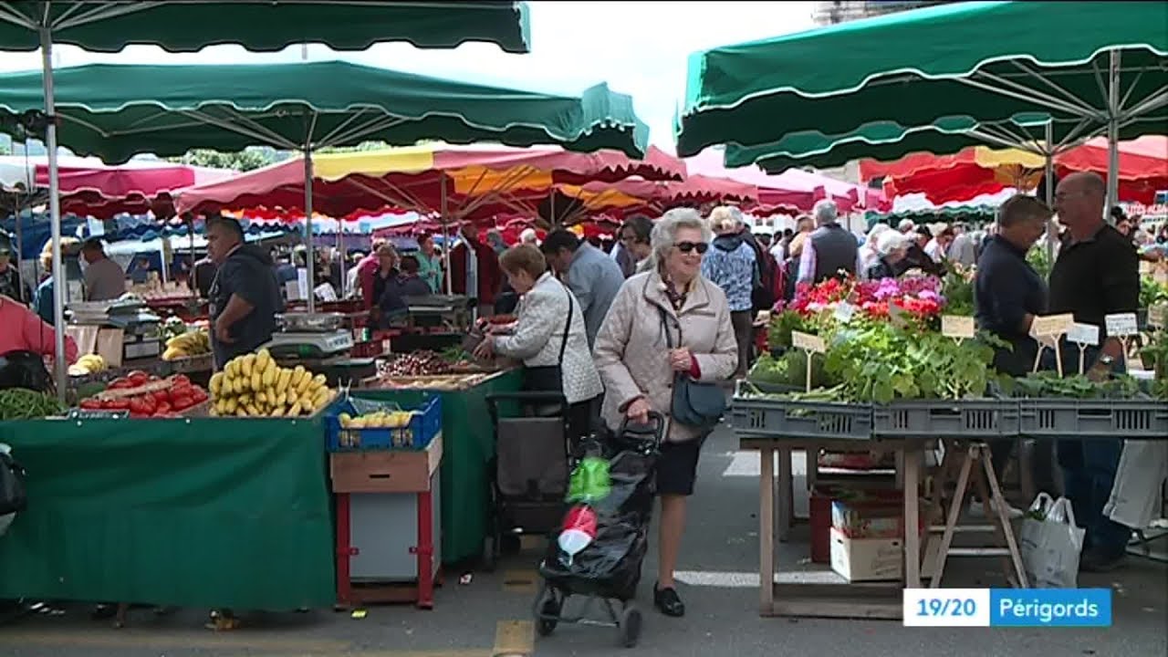 Les légumes de saison sur le marché de Périgueux