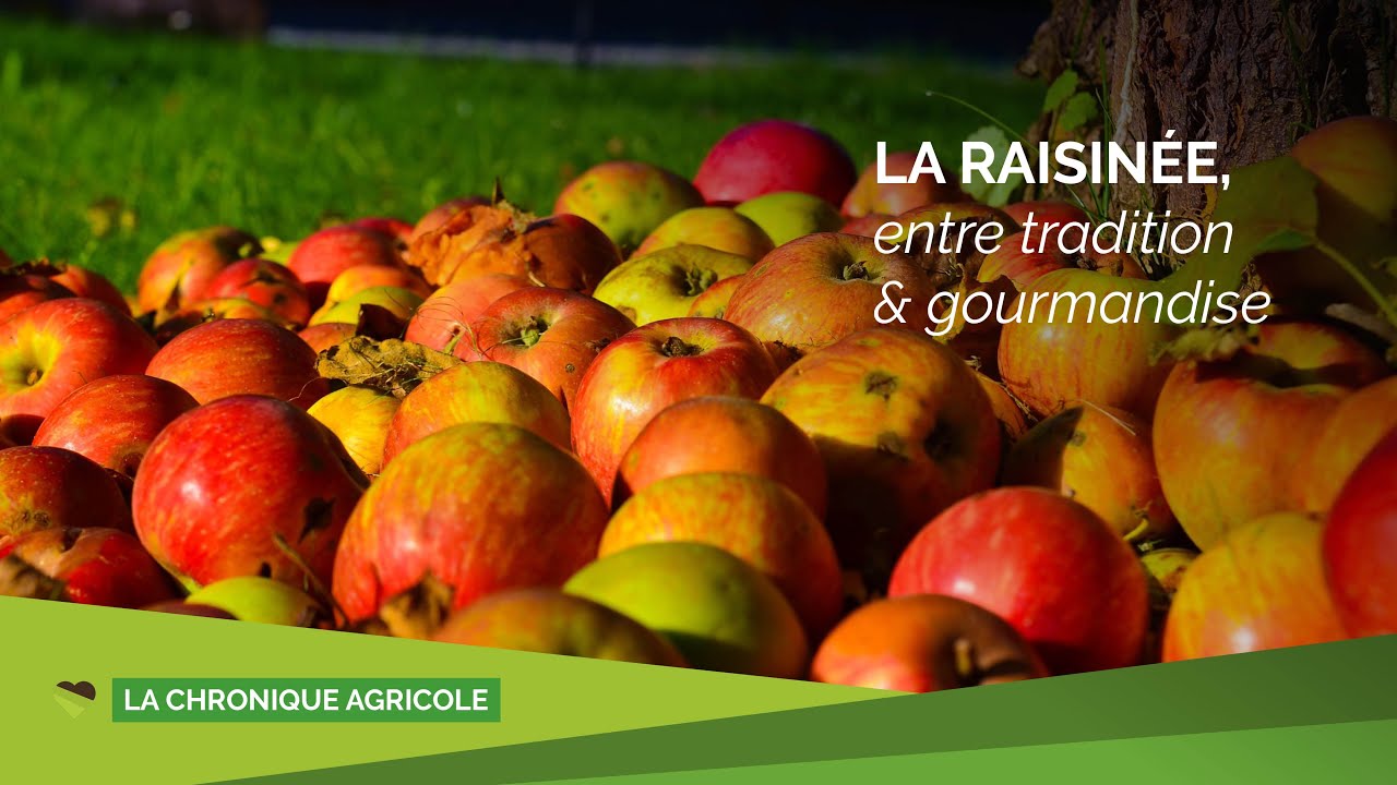 La raisinée: tradition, goût et convivialité
