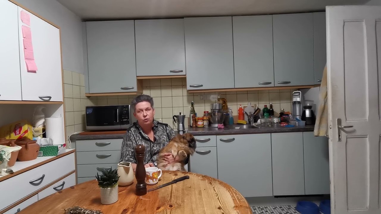 Nos astuces pour organiser vos repas de fête